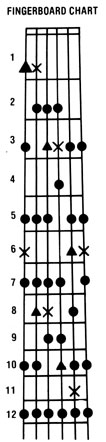 Bargain Hunting for Guitars, Guitar Lessons and Guitar Picking